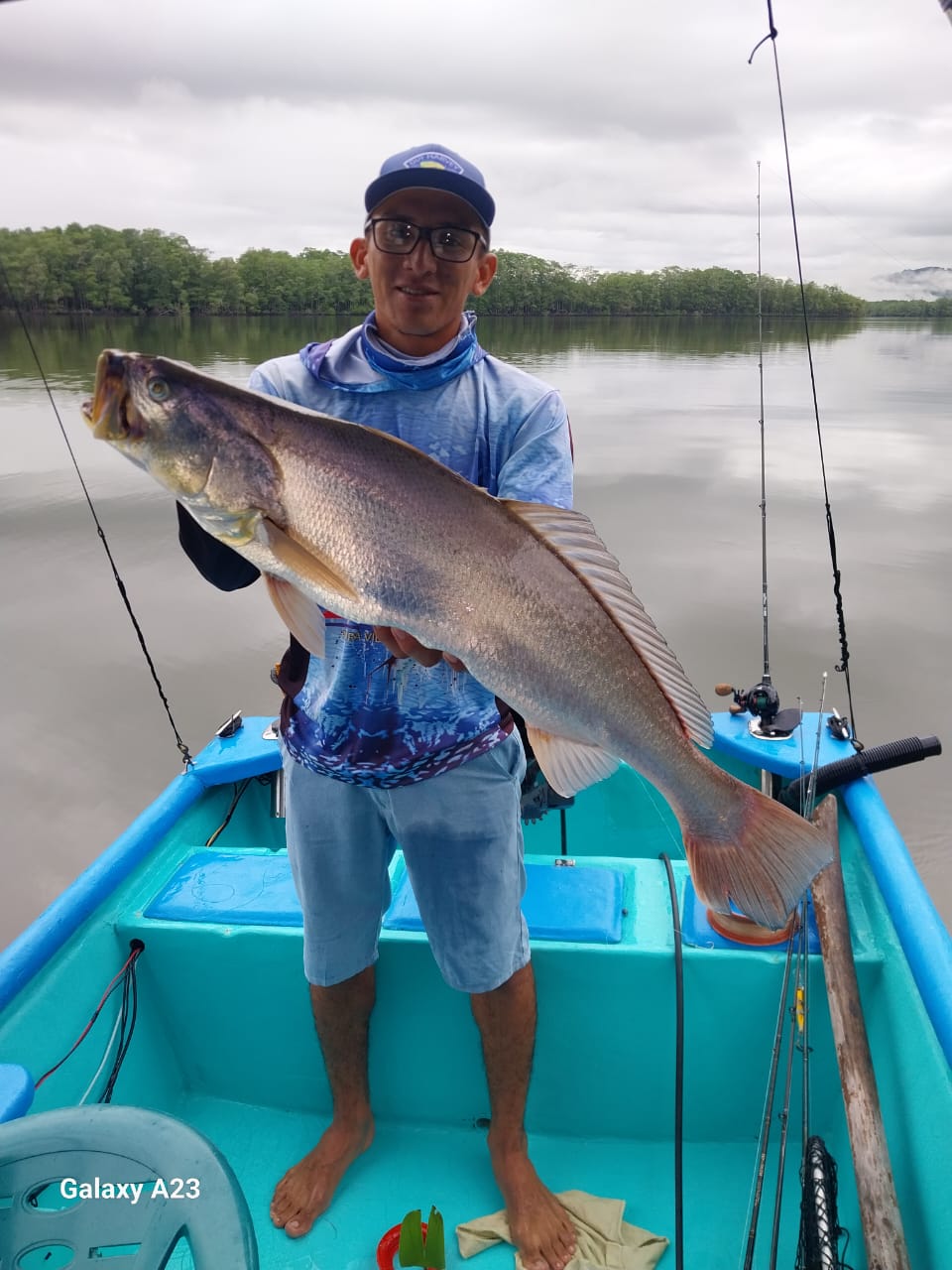 Fishing In Sierpe